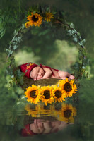 Essex baby photographer, Essex newborn photographer, baby photographer Essex, newborn girl composite Sunflower hoop swing, safe newborn posing.